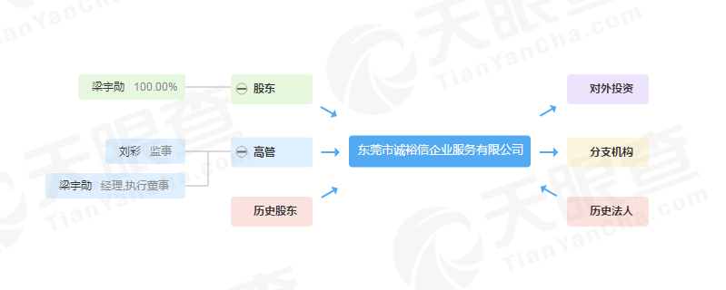 東莞誠宇鑫商標代理公司怎么樣？這幾個方面深入分析了