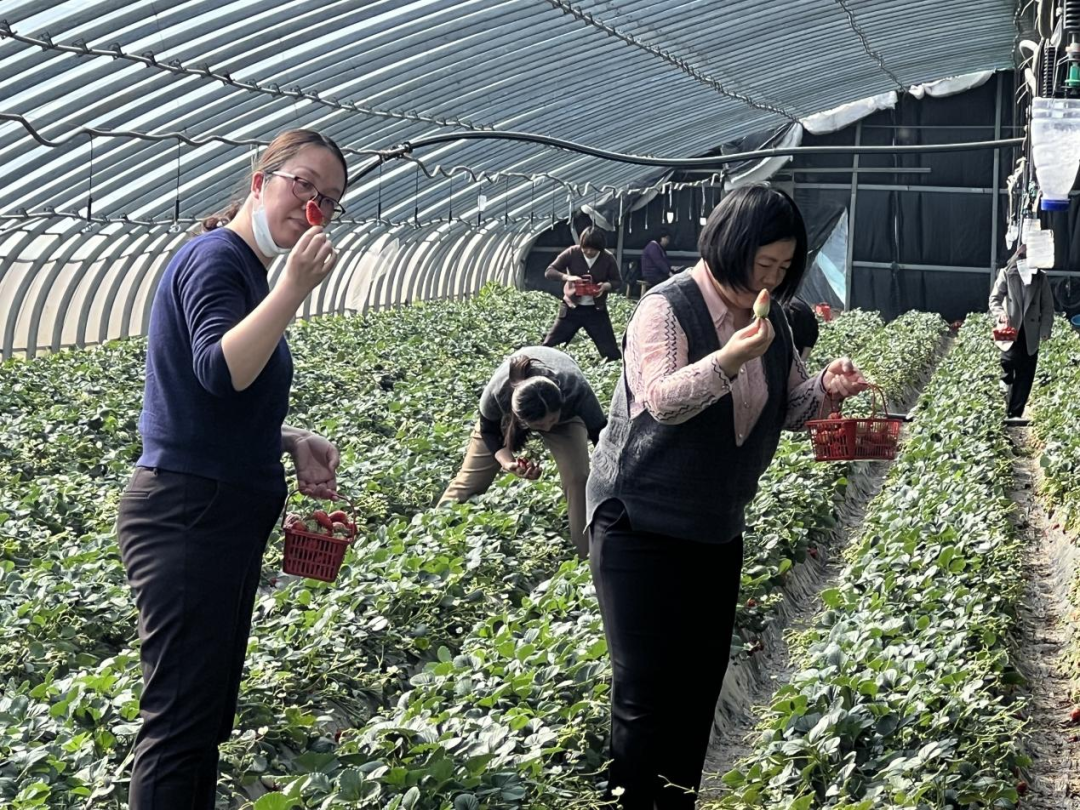 微信圖片_20230309164244.png 微信圖片_20230309164244.png