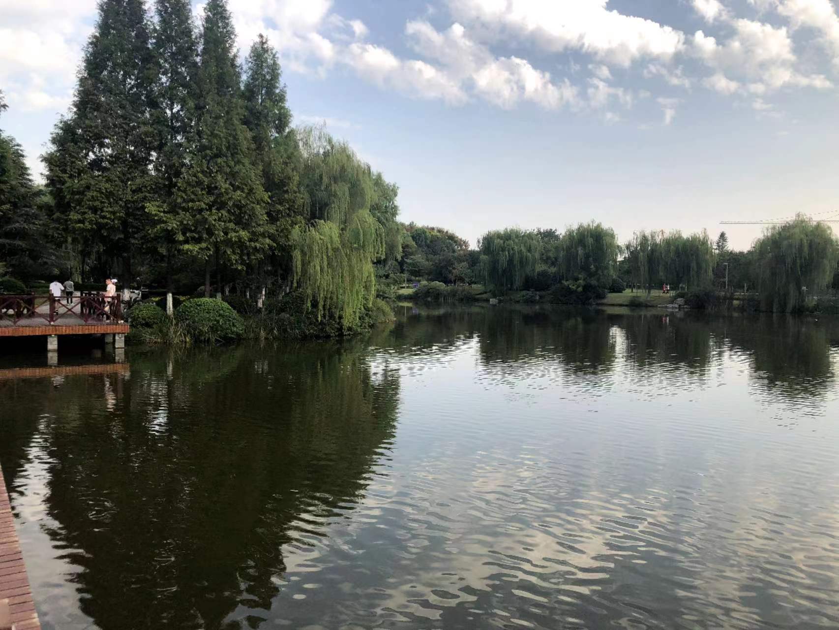 知識(shí)產(chǎn)權(quán)