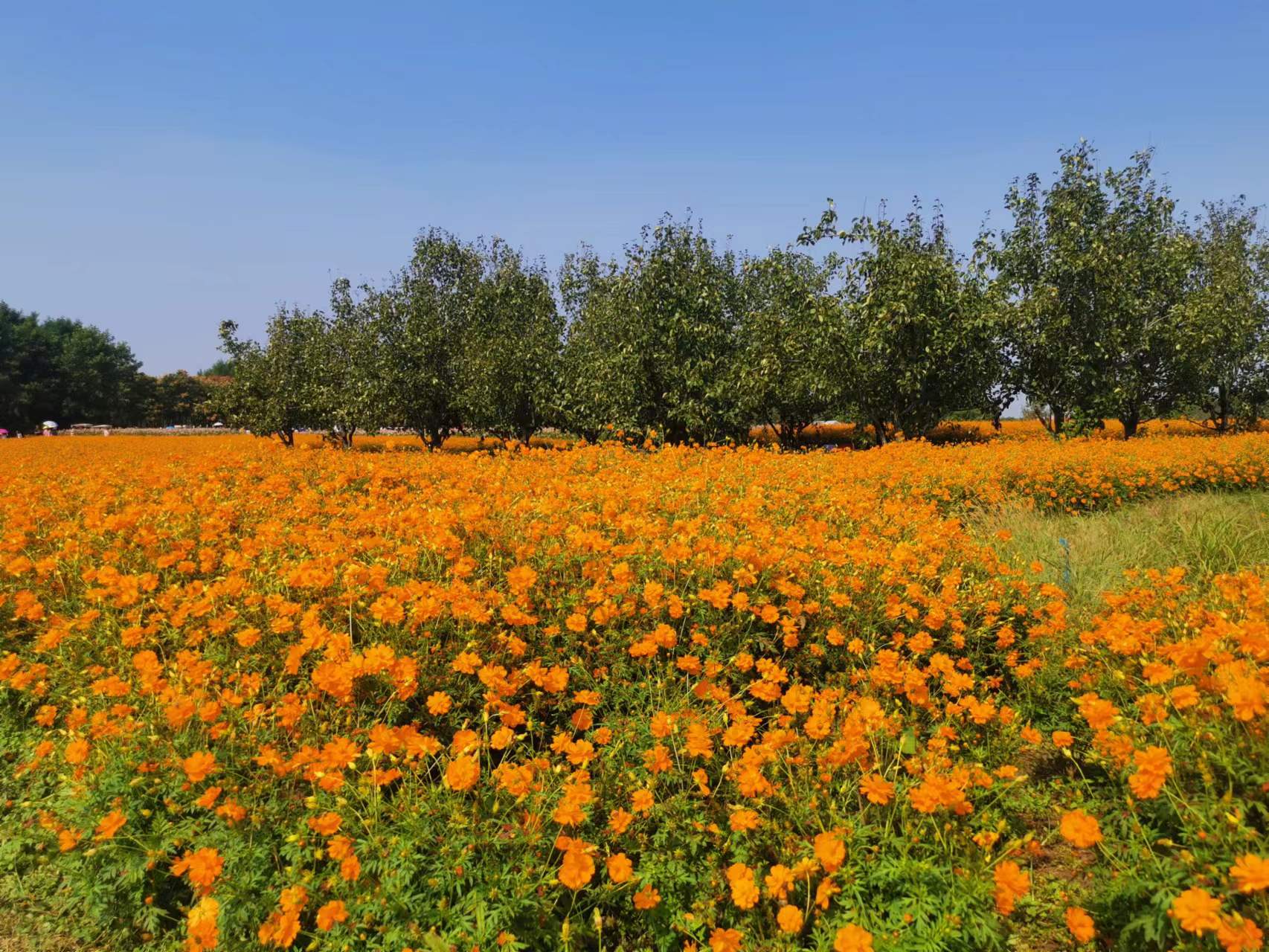 合規(guī)業(yè)務(wù)