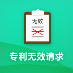 專利無效申請(qǐng)